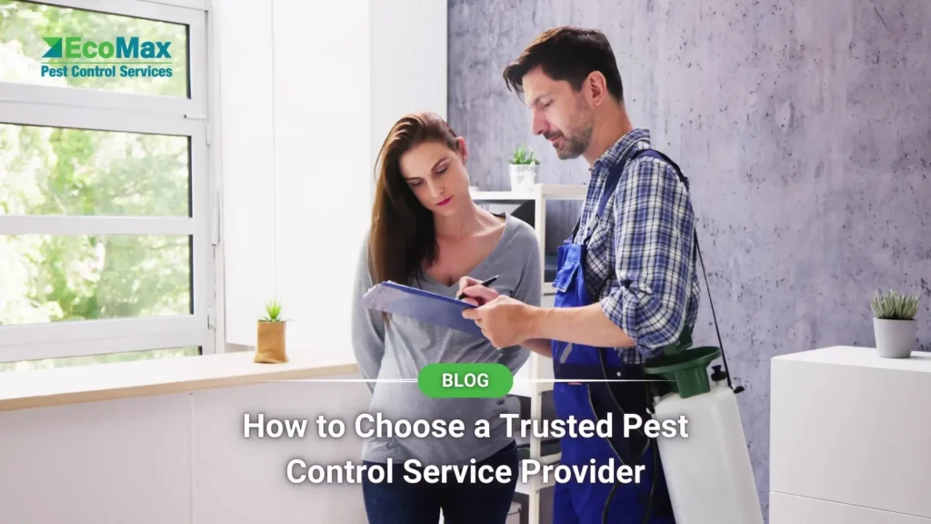 How to Choose a Trusted Pest Control Service Provider