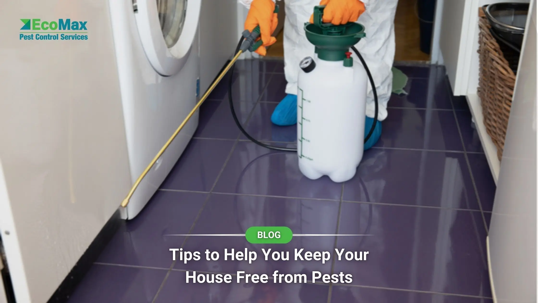 Tips to Keep Your House Free from Pests