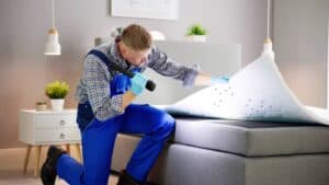 Best bed bug Treatment