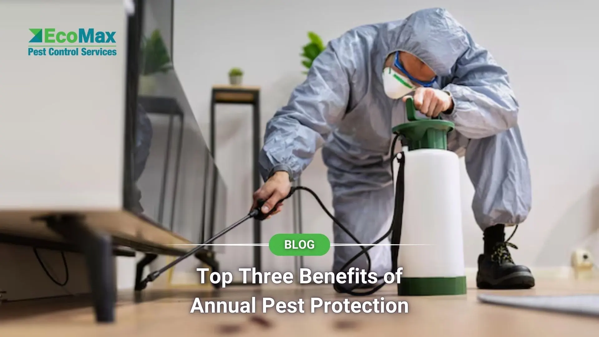 Top Three Benefits of Annual Pest Protection