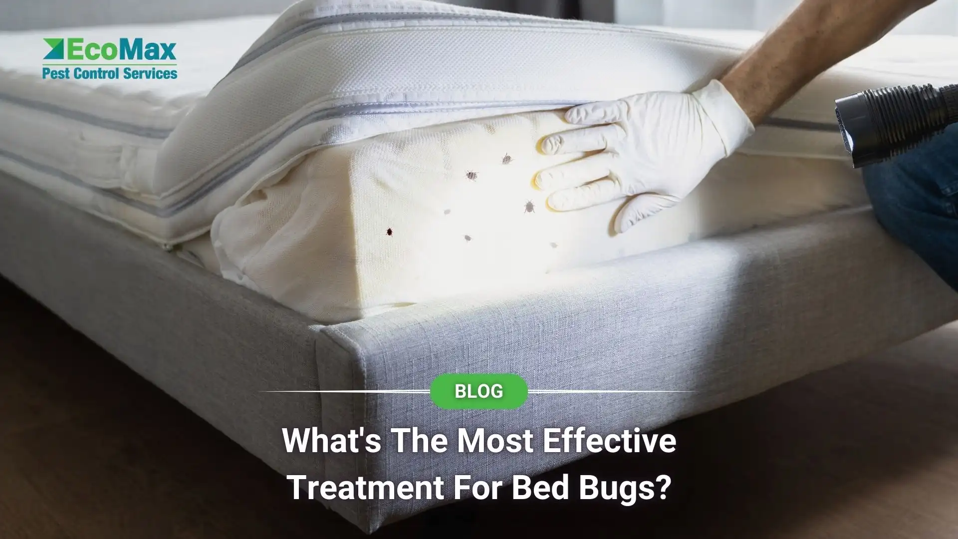 What's The Most Effective Treatment For Bed Bugs?